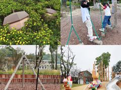 -铁山坪森林公园