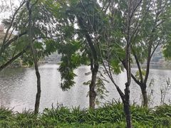 -重庆彩云湖湿地公园
