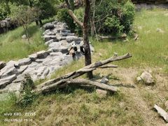 -宁波野生动物园