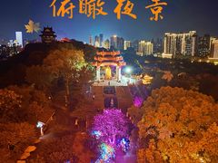 -黄鹤楼公园(黄鹤楼)