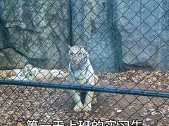 -北京野生动物园