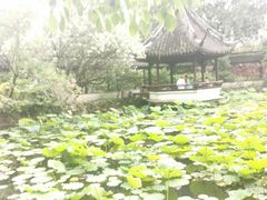 -上海醉白池公园