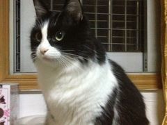 -彩虹桥宠物火化殡葬善终服务(金乐大厦店)