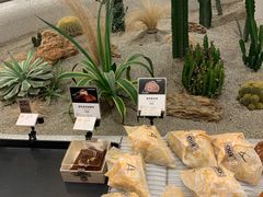 -OUR Bakery(SKP-S店)