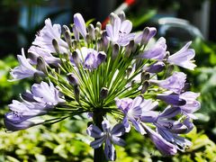 -上海市虹口区图书馆(曲阳分馆)