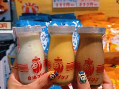 -南纪白浜Toretore市场