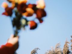 -北岐滩涂