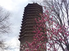 -玲珑塔公园