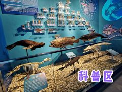 -太奥幻太奇海洋馆