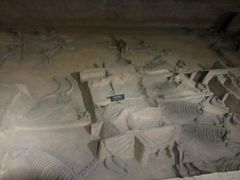 -洛阳周王城天子驾六博物馆