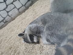 -海合安武汉极地海洋公园