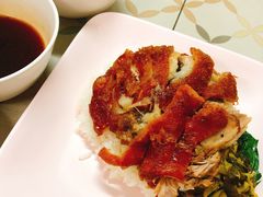 -鸡饭店