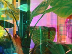 -润园四季椰子鸡火锅(南山海岸城店)