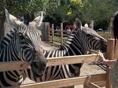 -水上乐园·欢乐世界