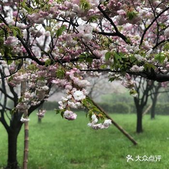 周末花了两天时间去四明山 因为周六中午在市区吃了饭才