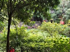 -晓雯人家