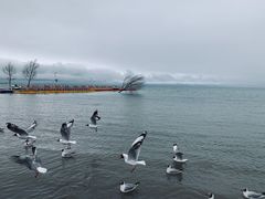 -青海湖二郎剑景区