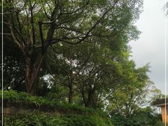-广州莲花山旅游区