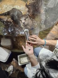 -Zoolung Zoolung动物主题公园(海信广场店)