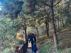 -北京十三陵国家森林公园蟒山景区