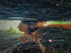 -五女峰国家森林公园