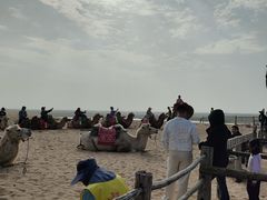 -黄沙古渡原生态旅游区