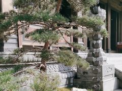 -香积寺