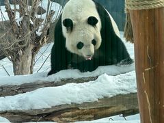 -鄂尔多斯野生动物园