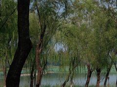 -南海子公园
