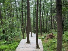 -鲁山国家森林公园