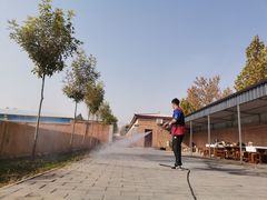 -北京京卫宠物寄养训练中心