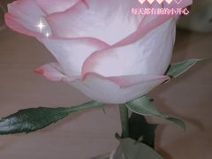 -清心素食自助餐厅(夫子庙店)