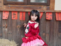 -溪岸路花鸟市场