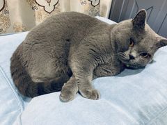 -KKV(深圳宏发大仟里店)