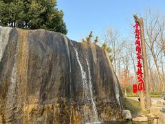 -合肥滨湖国家森林公园