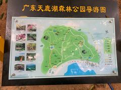 -天鹿湖森林公园