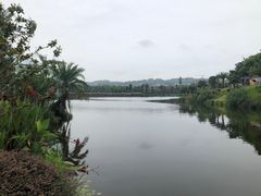 -枫香湖儿童公园