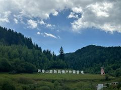 -芦芽山旅游度假区