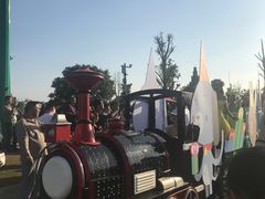 -荷兰花海