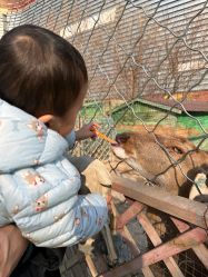 -萌宠亲子动物乐园(槐房万达店)