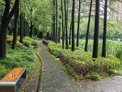 -陈家山荷花公园