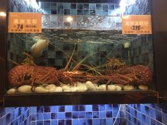 -官也街澳门火锅(新源里店)