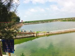 -北海金海湾红树林生态旅游区