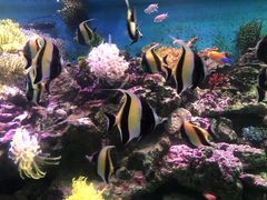 -海合安青岛极地海洋公园