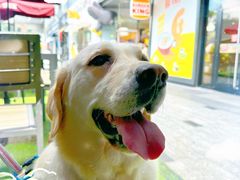 -汉堡王(徐汇绿地缤纷店)