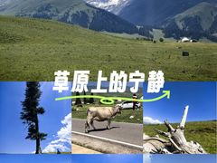 -新疆那拉提国家旅游度假区