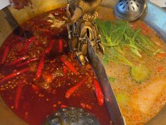 -小龙翻大江文化火锅(宽窄店)