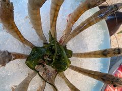 -福娣·金沙银贝海鲜火锅