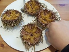 -海胆小馆(东北水饺·春柳店)