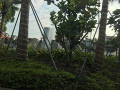 -深圳观澜格兰云天国际酒店